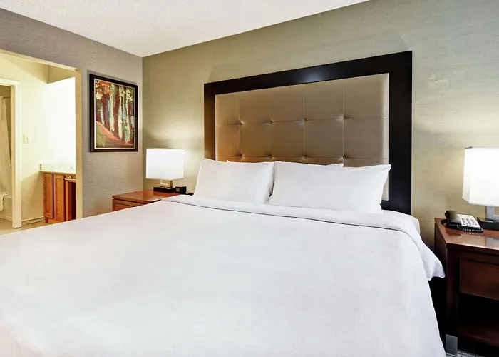 One-Bedroom King Suite